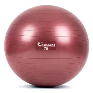 아이워너 짐볼 다이어트짐볼 75cm (루비 와인) 마사지볼 마사지짐볼 (WFK5PHV)