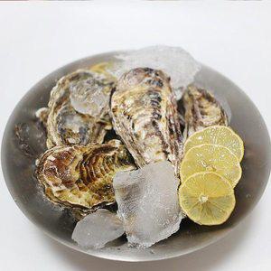 [파인밀]산지직송 통영 석화 각굴 10kg 입망굴 (구이/찜)