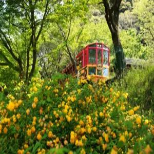 부산출발 오사카 3/4일 #실속있게 #교토 #고베 #롯코산전망대 #잇큐온천 #USJ선택