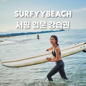 [강원 양양] 서피비치 서핑 입문강습