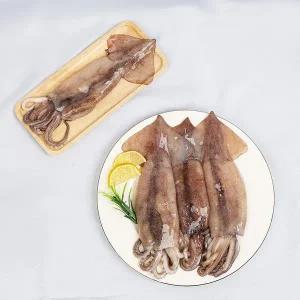 [더조은푸드][더조은] 원양산 냉동 손질 통오징어 (팩당 350g 내외) 2미 x 5팩