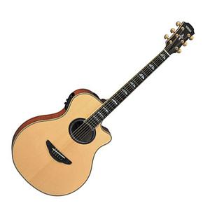 야마하 Yamaha APX900 / APX-900