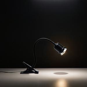 소라게 온열등 도둑게 키우기 전구 물 사육장 적외선 크랩 쉘 용품