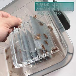 귀뚜라미 사육장 리빙박스 곤충통 키우기 1개 브링고