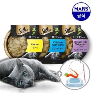 [16+8] 쉬바 필렛 60gx24개 골라담기+고양이 낚시대+베베숲물티슈1팩