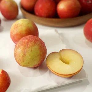 산 자두 (추희)2kg 대과(12-20과) 7451187