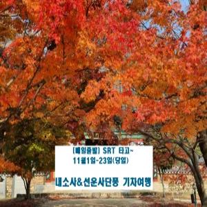 [SRT] 오색단풍 내장산 기차여행(정읍역 11/1(토)~11/23(일) 당일)
