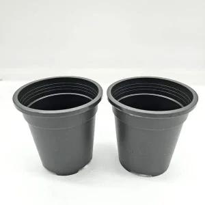 플라스틱 다육이 베란다 분갈이 텃밭 화분 12cm 옥상텃밭