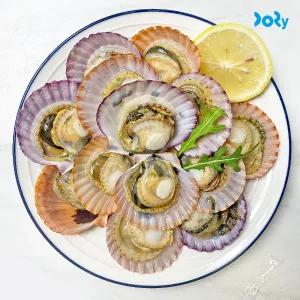 [맛도리] 당일어획 후 발송 국내산 제철 통영 홍가리비 2kg