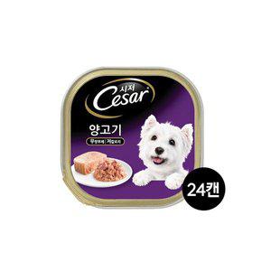 [시저] 강아지캔 1세이상 양고기 100G 24캔