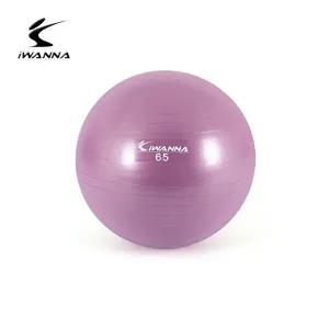 아이워너 안티버스트 짐볼 65cm 라일락-WFHN20D