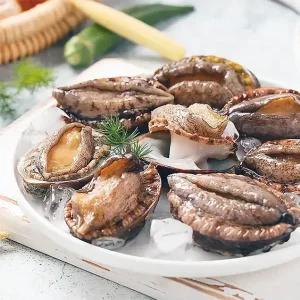 청정해역 완도 참전복 활전복 부직포포장 왕특대 1kg 8-9미