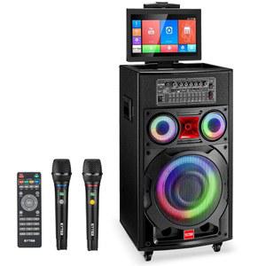 14.1인치 터치스크린, 휴대용 노래방 스피커 PA 시스템 800W 피크 전력, 무선 마이크 2개, DJ 라이트, WiFi, HDMI 가정용 TV 야외 파티용 기기