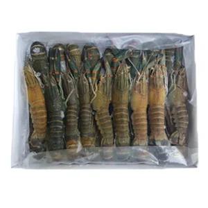 하이베키 마라롱샤 냉동민물가재 1kg(25미이상)