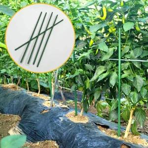 [골드스마일]텃밭 60cm 지지대 화분 식물 지지대 5p 굵은 식물 유인망 고추대집게