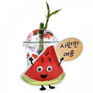 [골드스마일]만들기대장-수박 개운죽 화분 만들기