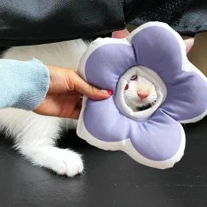 강아지넥카라 애견 쿠션 깔때기 꼬깔 퍼플 S