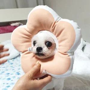강아지넥카라 애견 쿠션 깔때기 꼬깔 핑크 M