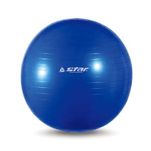 스타스포츠 짐볼 /55cm/EB240-07/신형