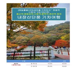 [ITX-새마을] 오색단풍 내장산 단풍 기차여행 (11/1-11/23 08:44출발 당일)