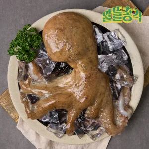 고흥 산지직송 제수용 돌문어 2미(1.4-1.8kg)