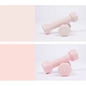 아이워너 뷰티 육각 덤벨 0.5kg 1kg아령 국산 홈트 레이닝 집에서운동하기 근력 헬스장 기구 고무