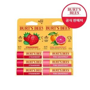 버츠비 립밤X6