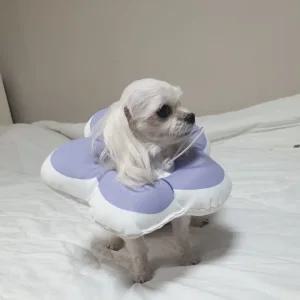 꽃피는 강아지 고양이 쿠션 넥카라 퍼플 M 쿠션넥 강아지넥 고양이넥 강아지목