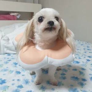 꽃피는 강아지 고양이 쿠션 넥카라 핑크 M 쿠션넥 강아지넥 고양이넥 강아지목