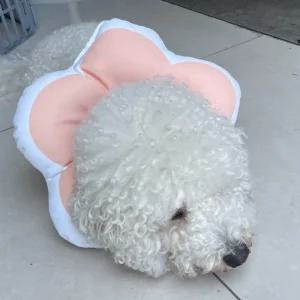 꽃피는 강아지 고양이 쿠션 넥카라 핑크 L 쿠션넥 강아지넥 고양이넥 강아지목
