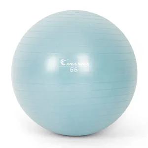 [헬스케어]다이어트짐볼 마사지볼 55cm 더스티 마사지짐볼 블루