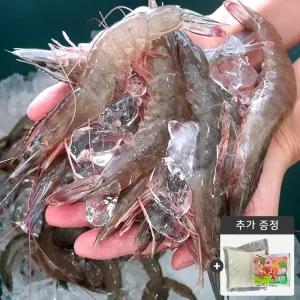 25년 당일조업 국내산 특품 활새우/대하1kg(22~28미) 산지발송 생새우, 흰다리새우 새언니