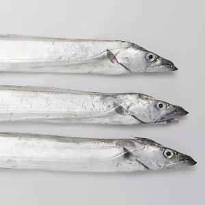 대천해 서해안 갈치 500g + 500g