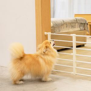 솔크로니 강아지 울타리 폭조절 안전문 도어펜스 현관 애견 반려동물 고양이 펫도어