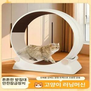 고양이 런닝머신 롤러 저소음 반려견 반려묘 운동 캣워커 캣휠 캣휠추천