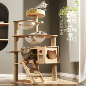 소형캣타워 미니캣타워 고양이 원목 방석