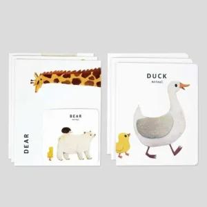 친구 카드 애니멀 편지 선물 다양한 동물 친구카드 편지카드 선물카드 감사카드 축하카드