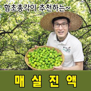 함초총각이 직접 담근 매실진액 900ml 3병 전남 순천