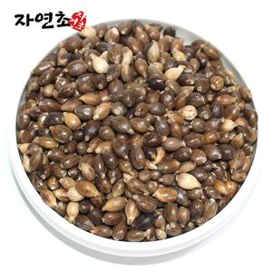 국산 피율무 1kg 껍질있는 통율무 안깐율무 차