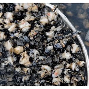 국산 우렁이 담양우렁이 실중량 1kg 우렁이된장국 (아이스박스 포장)
