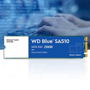 SA510M2250GB 노트북 내장용 SSD WD BLUE M.2 SATA방식 SSD 250GB