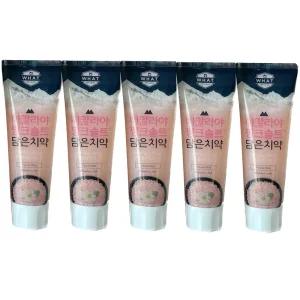 엘지생활건강 히말라야 핑크 솔트 담은 치약 100g (플로럴/민트) x 5개 / 써클