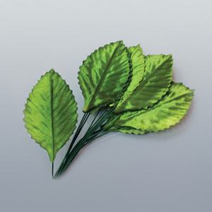 [더원사이언스] 나뭇잎 모형 (잎부분 40개입) KSIC-10383/10383/나뭇잎 모형/5학년2학기/과학교구