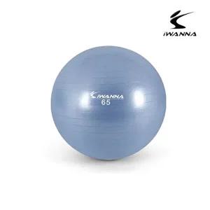 아이워너 안티버스트 짐볼 65cm 라벤더-WFHN20E