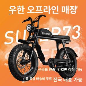 트랙라인전기 팻바이크 48V 배달용 출퇴근용 듀얼라인