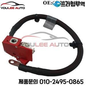 고품질 61128795489 BMW X7 G07 용 포지티브 배터리 퓨즈 케이블 2019 2020 자동차 액세서리