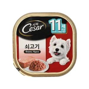 시저캔 11세이상 시니어 1캔 100g 쇠고기