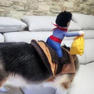 TC 강아지 할로윈 옷 코스튬 애견 약탈범 L 고양이 귀여운 웃긴