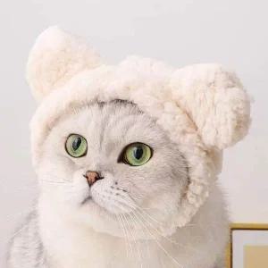 고양이모자 강아지모자 반려견 반려묘 귀여운 털모자