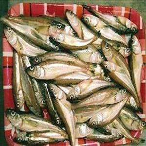 생물급냉 도루묵 (숫도루묵30-50마리구이용)2kg 급냉